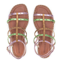 Rasteira Aurora Boreal